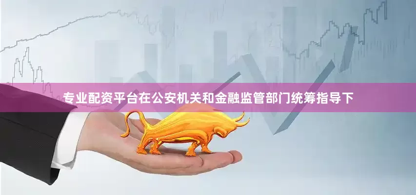 专业配资平台在公安机关和金融监管部门统筹指导下