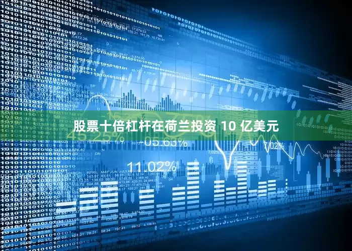 股票十倍杠杆在荷兰投资 10 亿美元