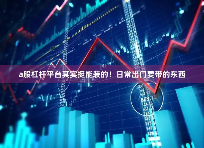 a股杠杆平台其实挺能装的！日常出门要带的东西